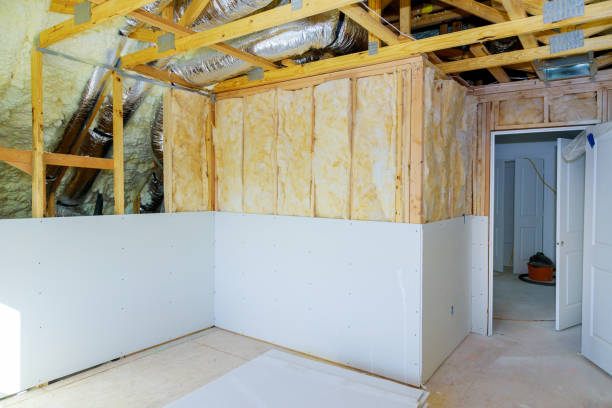 Best Eco-Friendly or Green Insulation Solutions  in Hico, TX