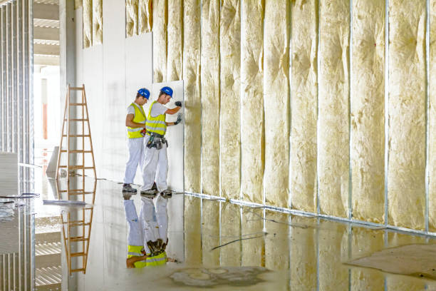 Best Wall Insulation Installation  in Hico, TX