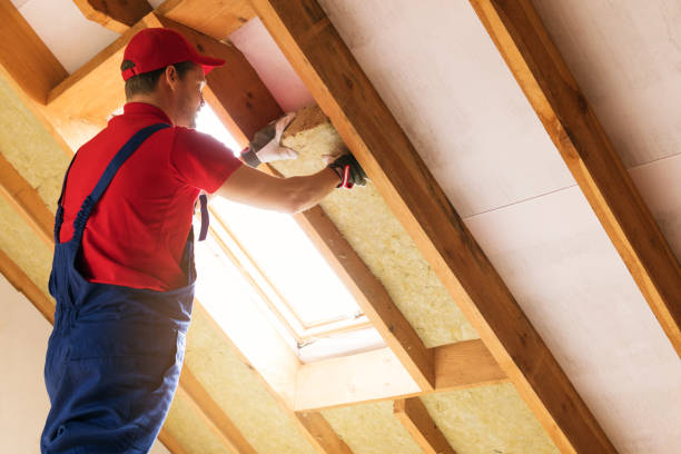 Best Attic Insulation Installation  in Hico, TX